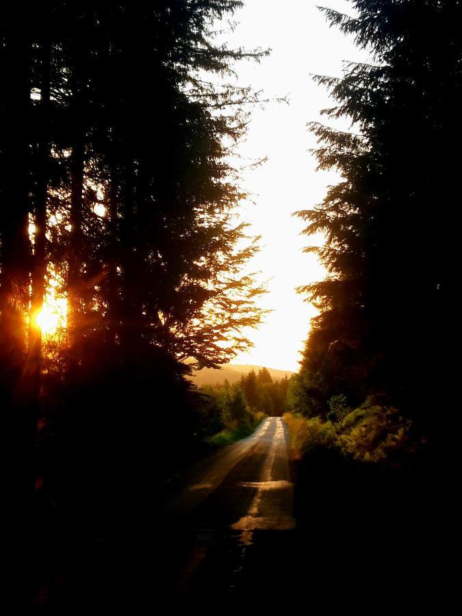 #Apt23 - Apartman 23 - Novohradske Hory Benesov nad Cernou エクステリア 写真