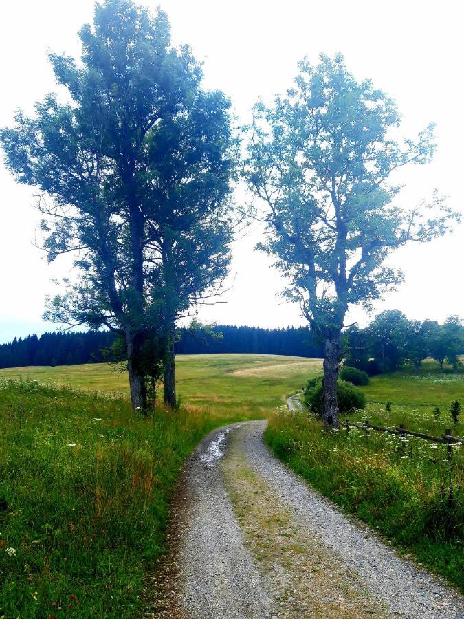 #Apt23 - Apartman 23 - Novohradske Hory Benesov nad Cernou エクステリア 写真