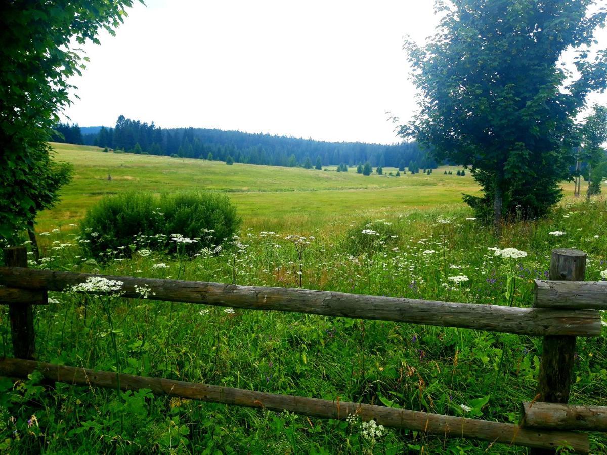 #Apt23 - Apartman 23 - Novohradske Hory Benesov nad Cernou エクステリア 写真