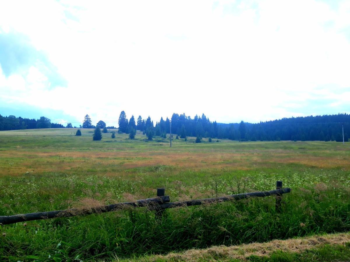 #Apt23 - Apartman 23 - Novohradske Hory Benesov nad Cernou エクステリア 写真